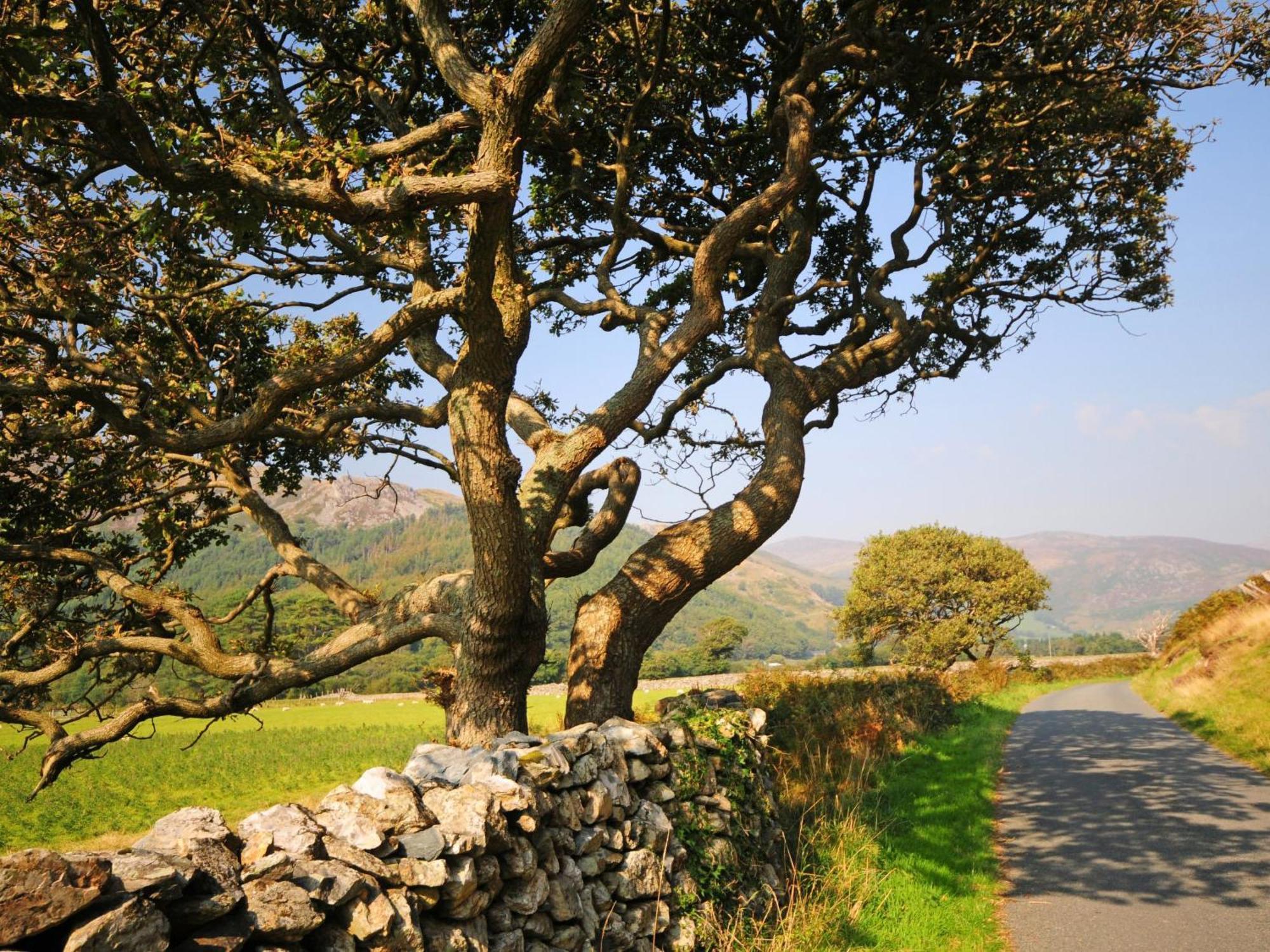 Arthfan Villa Llanelltyd Exterior foto